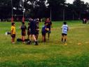articulo Excelente inicio del rugby infantil - Cardenales Rugby Club