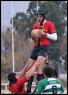 articulo Plantel superior - Cardenales Rugby Club