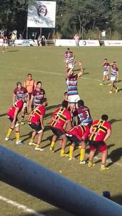 articulo Empate que sirve  - Cardenales Rugby Club